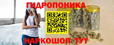 шишки Краснокаменск