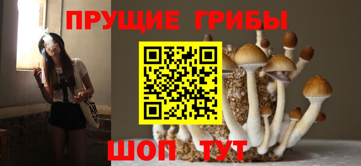 Казань  дарнет шоп  Галлюциногенные грибы Cubensis  Вход с VPN  Галлюциногенные грибы Magic Shrooms 