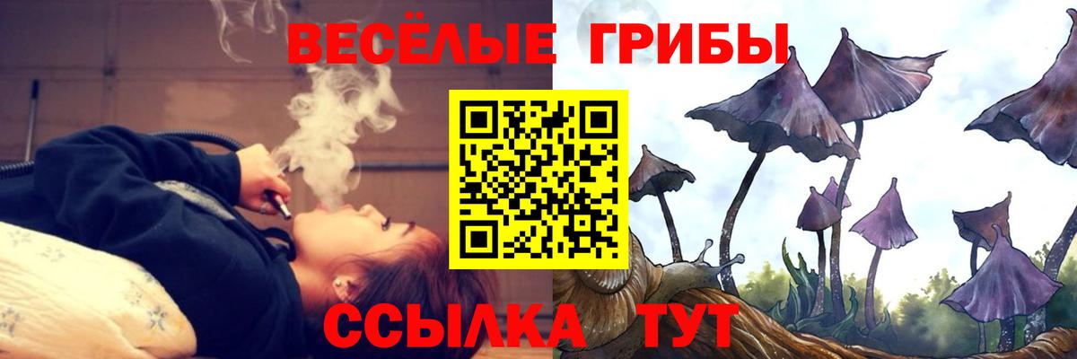 Галлюциногенные грибы мицелий Казань